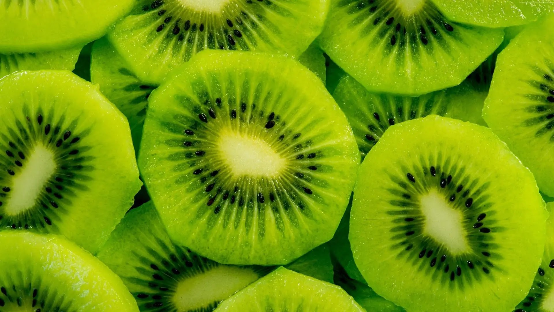How Do Kiwis Live? How Can You Increase Your Wealth With It?