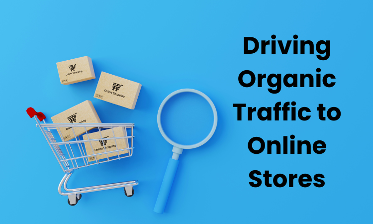 Driving Organic Traffic Online Stores
